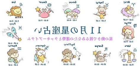 11月 星座
